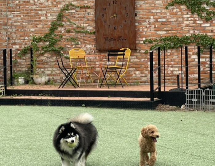 A June Filled with Doggos and Adventures float