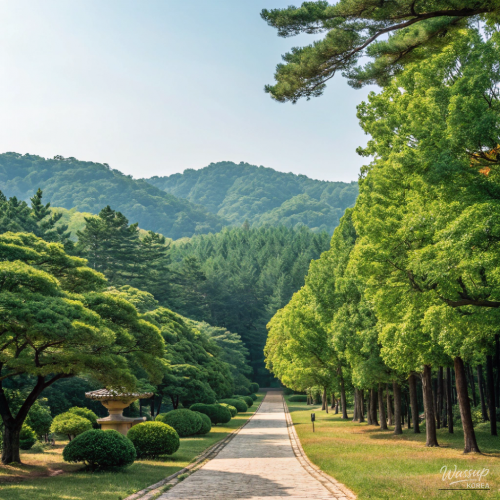 놀라운 광경