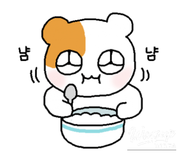 매력적인 사진