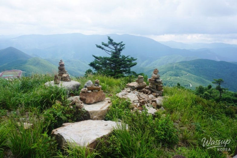 Beautiful Landscape