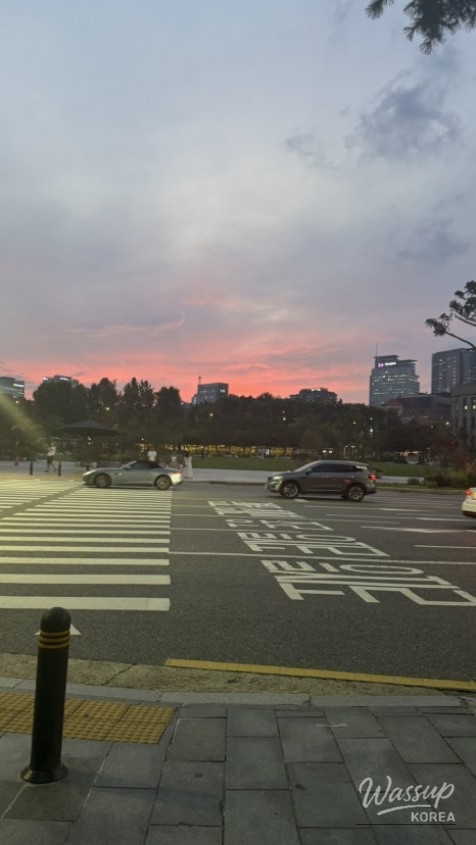 흥미로운 이미지