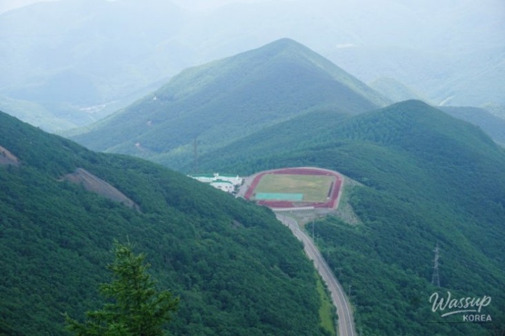 Beautiful Landscape