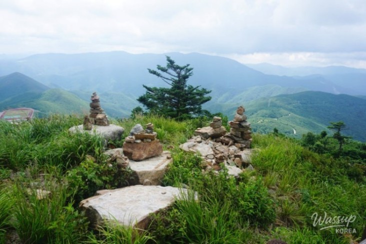 Beautiful Landscape