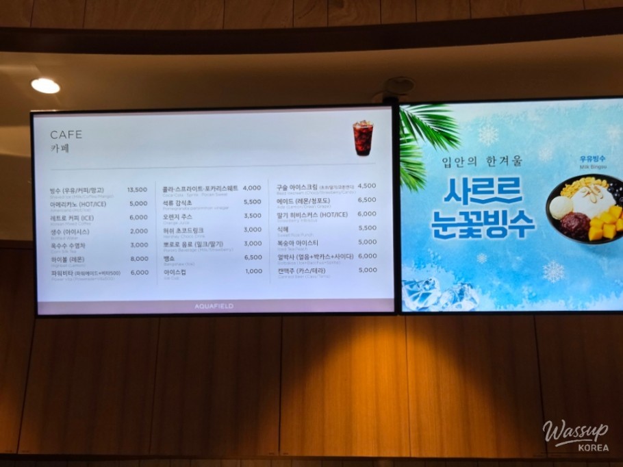밝은 미래
