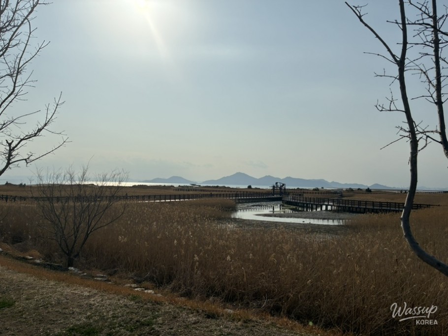 Warm memory