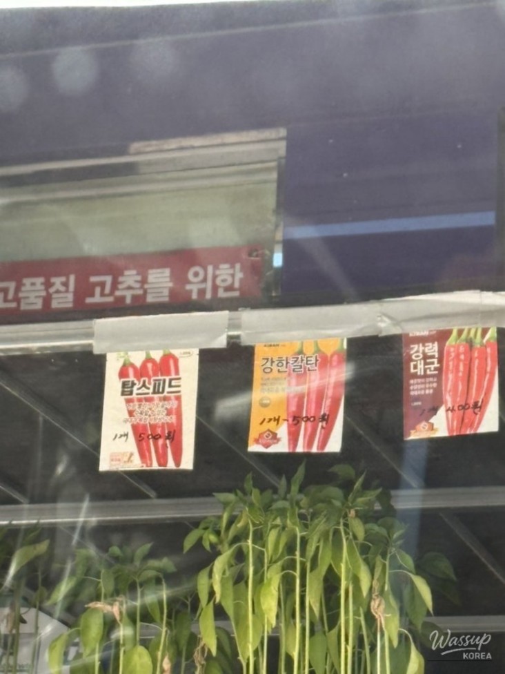 행복한 시간