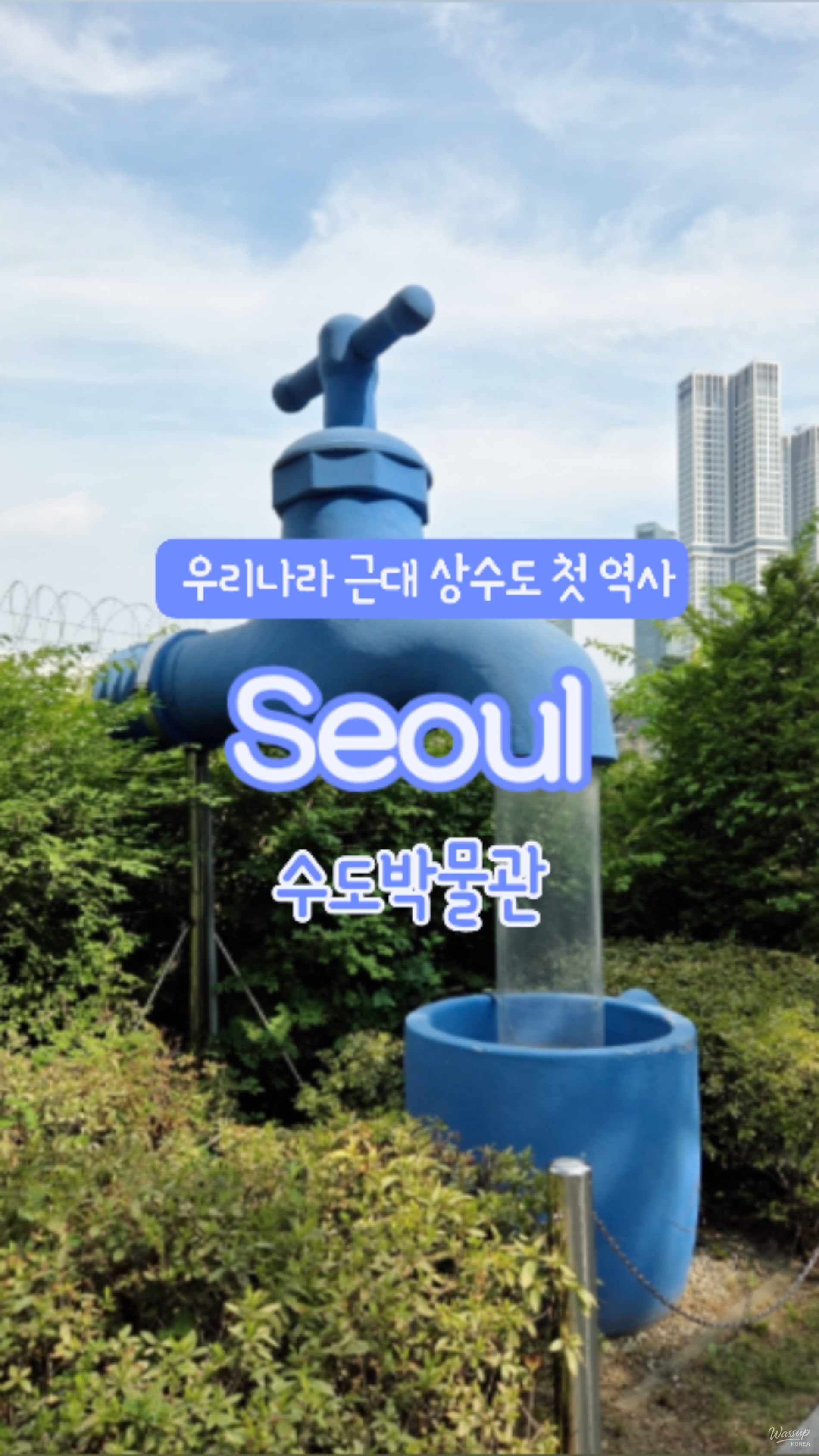 신비로운 모습