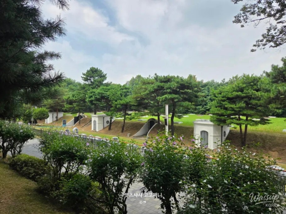 평화로운 풍경
