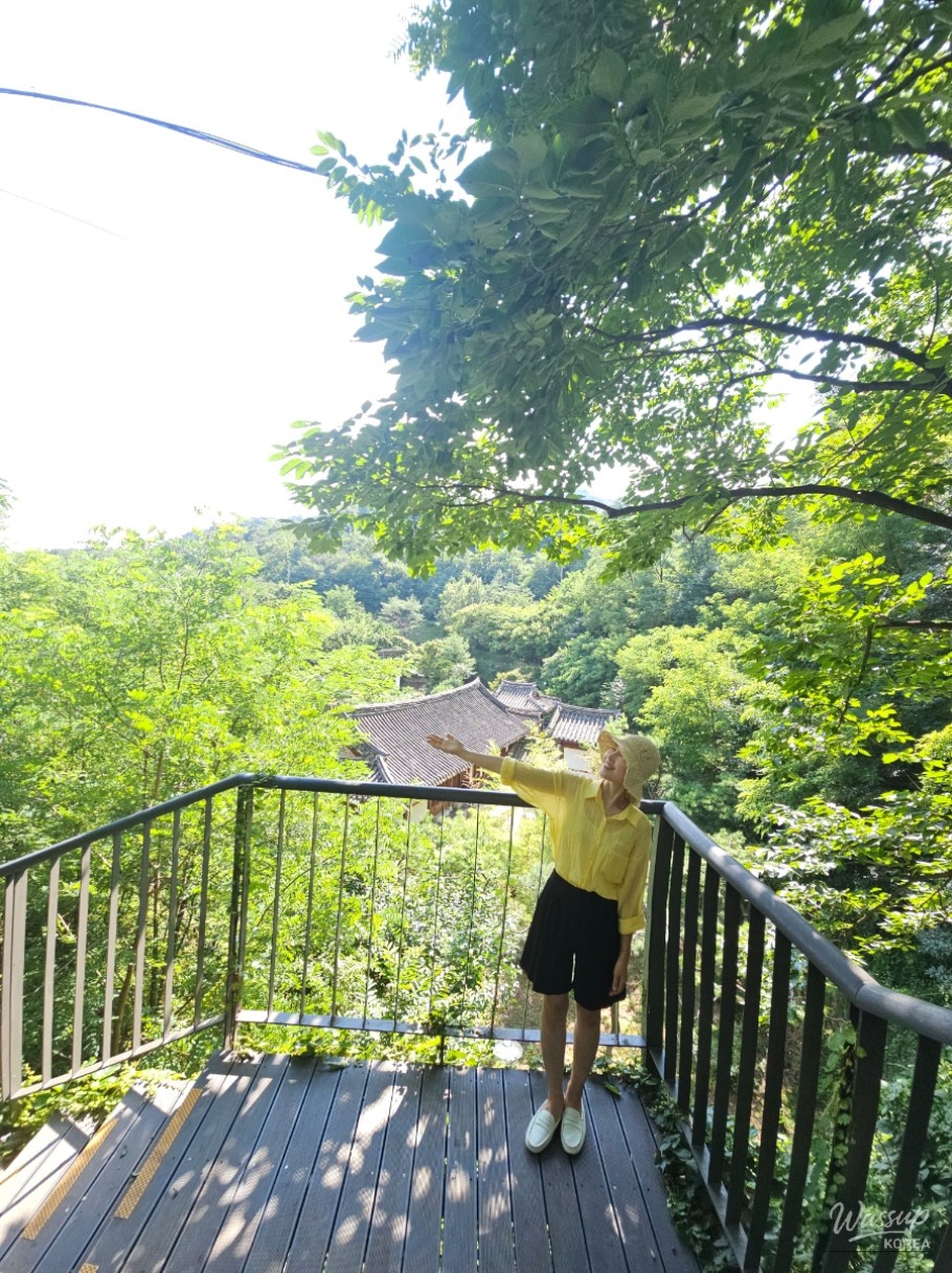 Scenic View