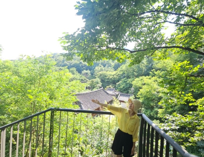 Scenic View