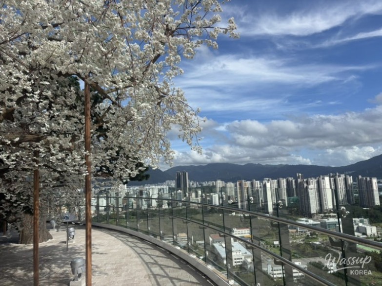 특별한 순간