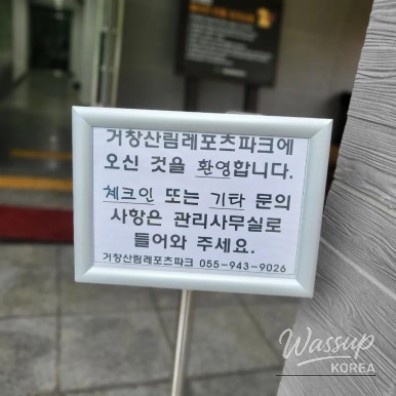 환상적인 장면