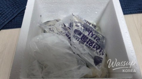 놀라운 광경