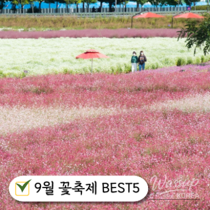 값진 경험