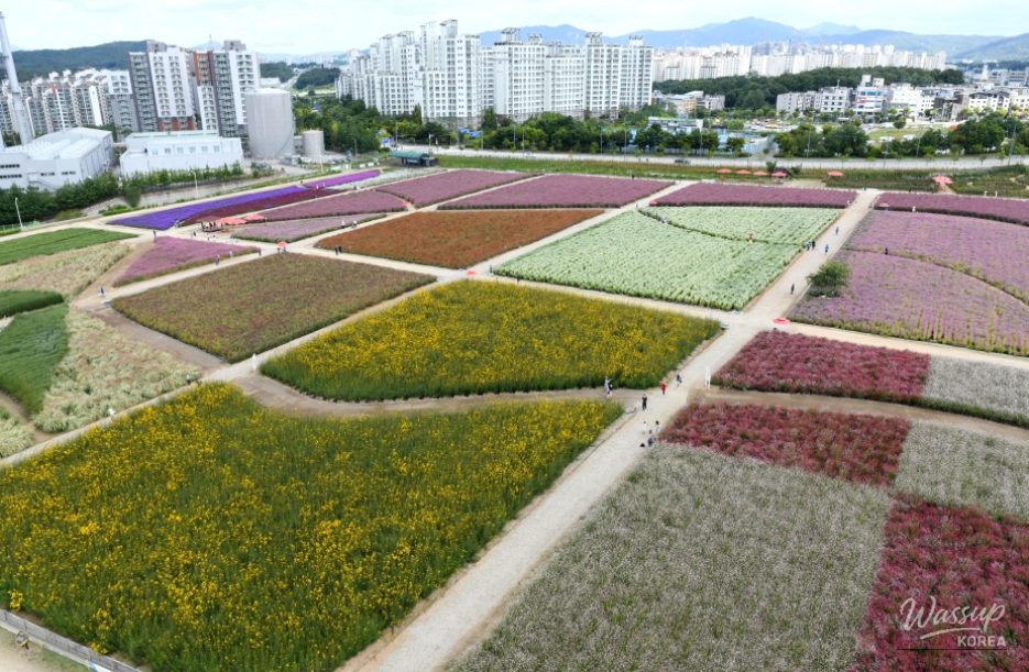 희망찬 내일