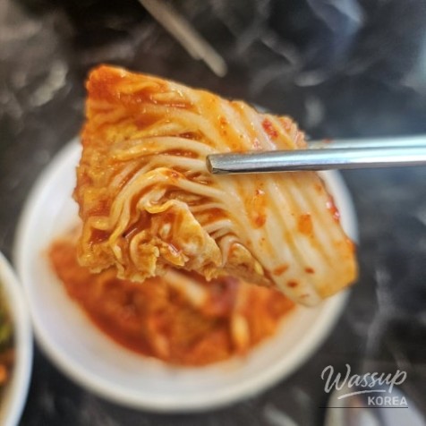 평화로운 풍경