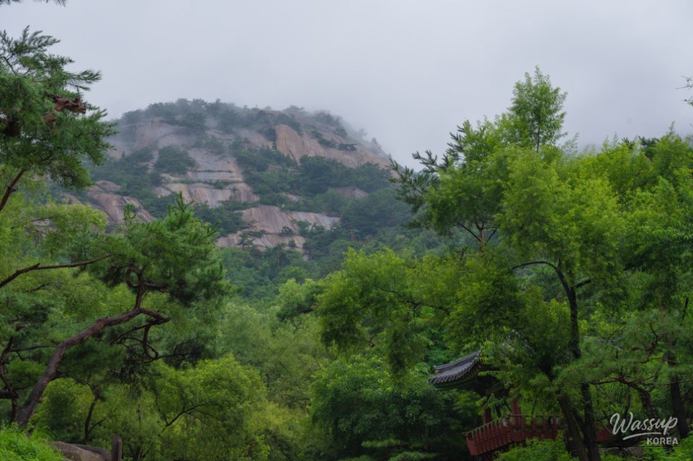 At Dusk_Woo recipe sample photo