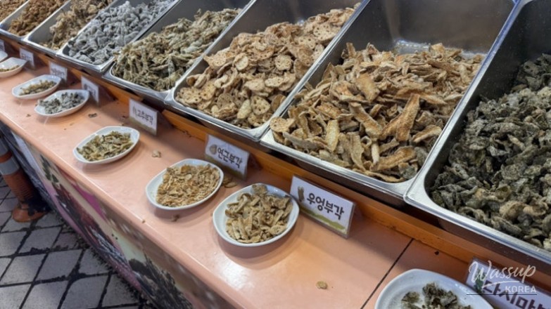 아름다운 풍경
