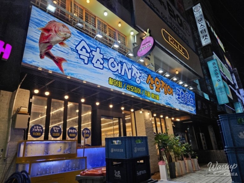 매력적인 사진