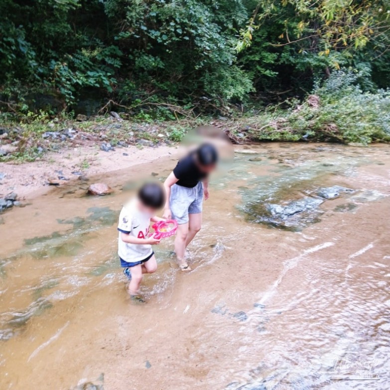 Fun Moment