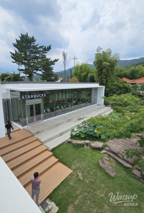 평화로운 풍경