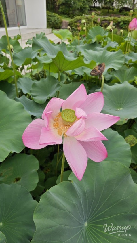 밝은 미래