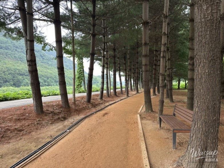 View of rural fields beyond the swimming pool fence