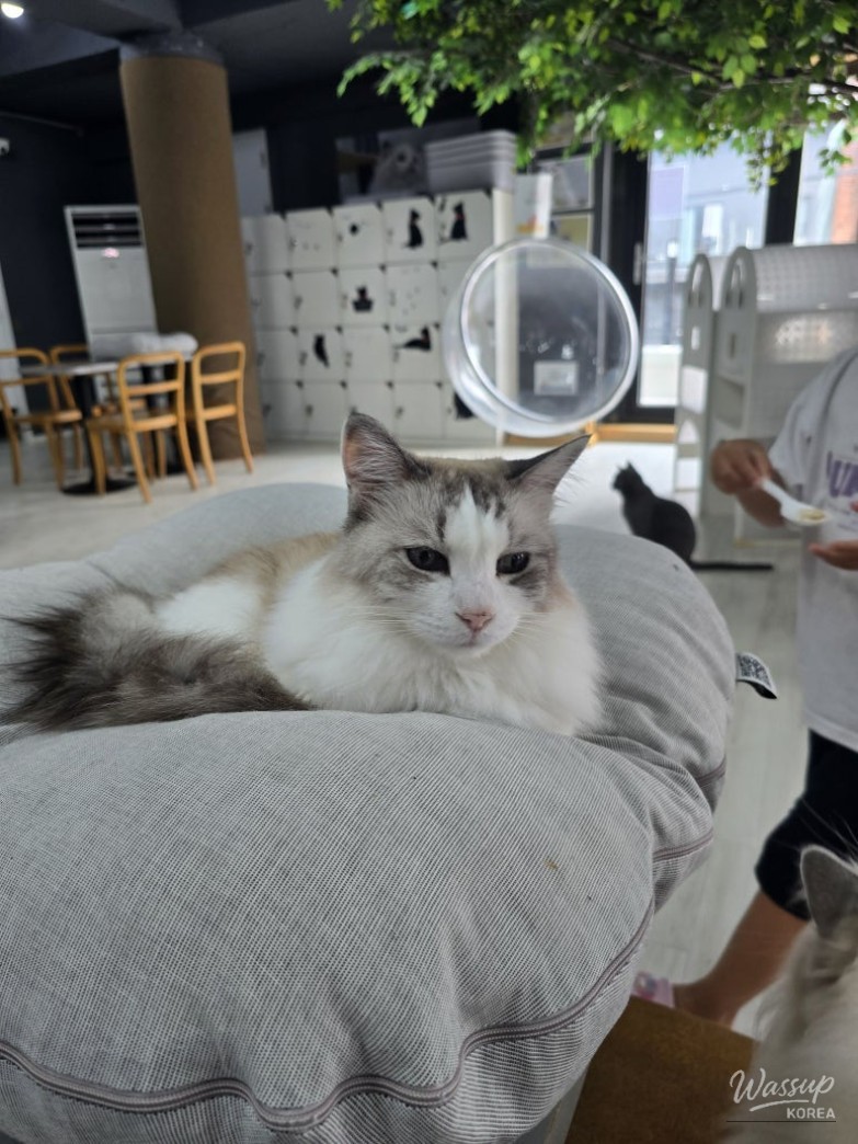 멋진 사진