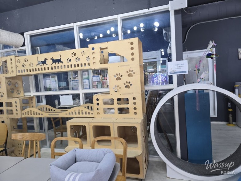 놀라운 광경