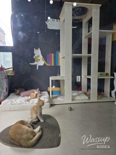 감동적인 장면
