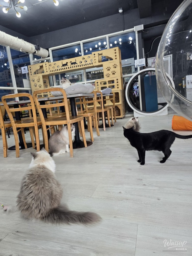 특별한 순간