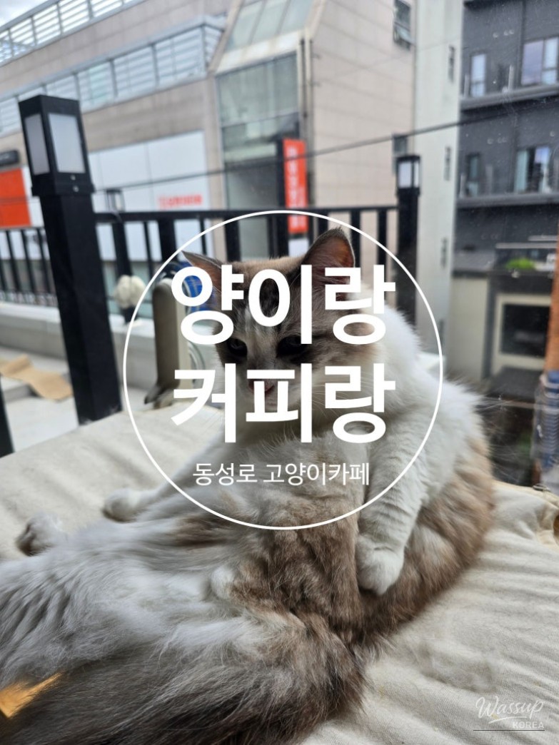 특별한 순간