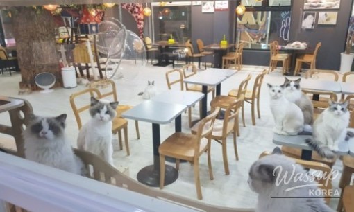 화려한 장면