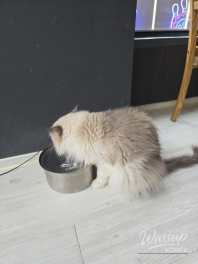 즐거운 순간