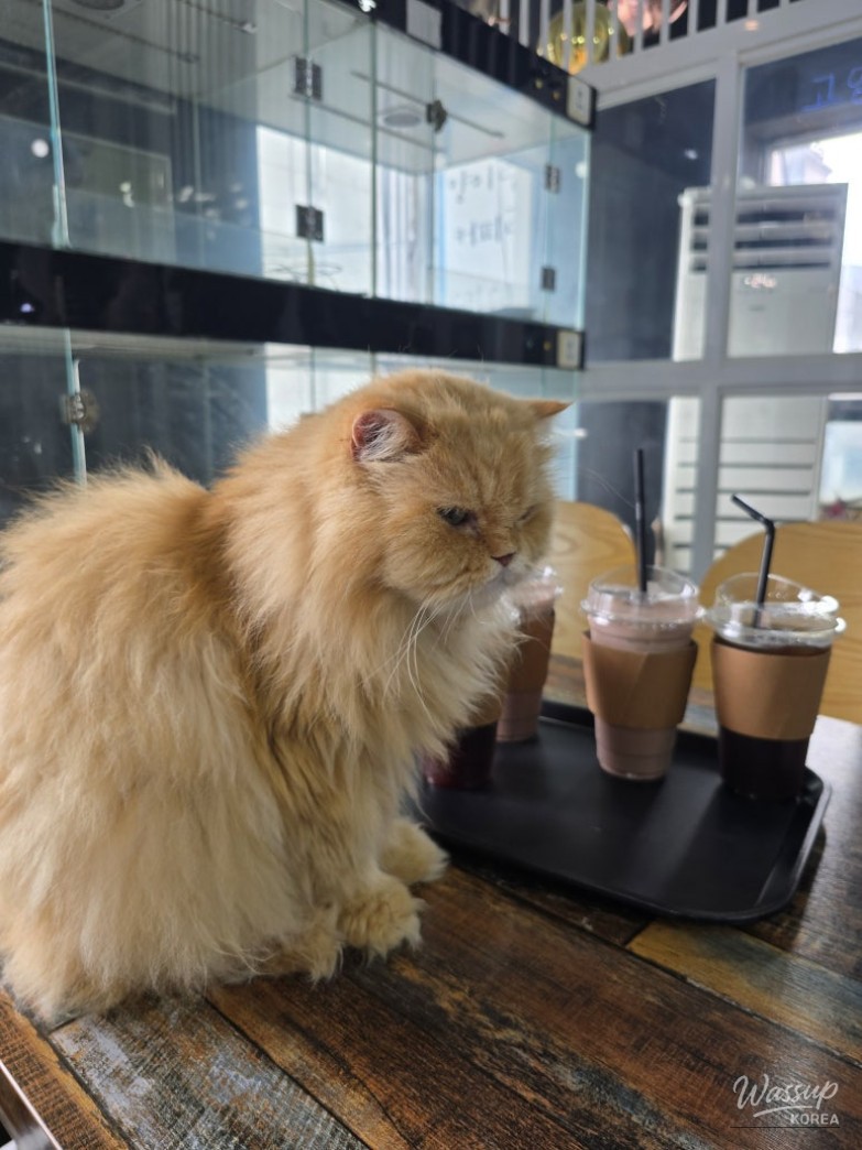 행복한 시간