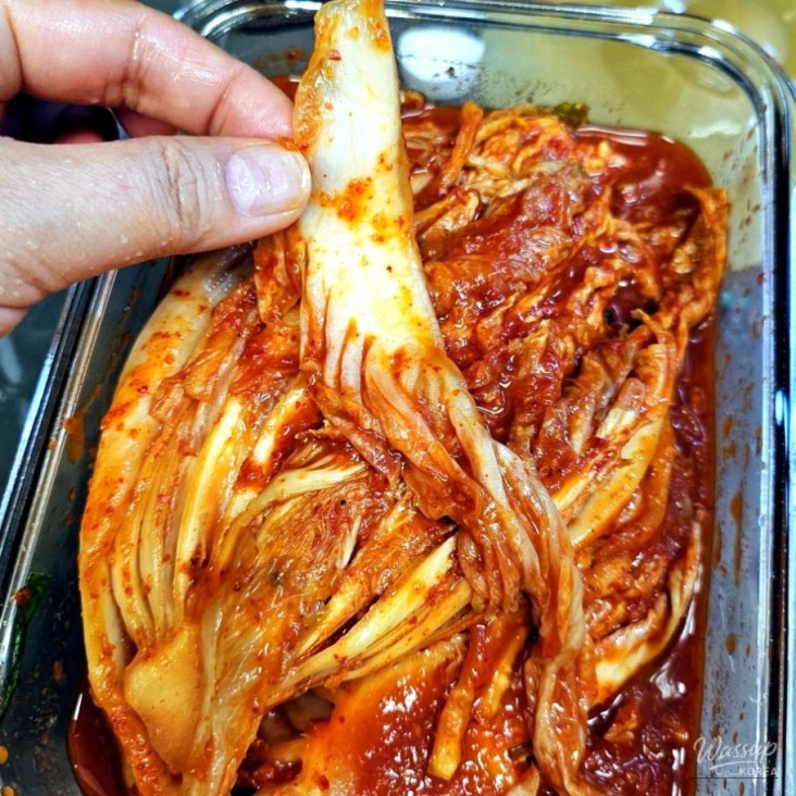 평화로운 풍경