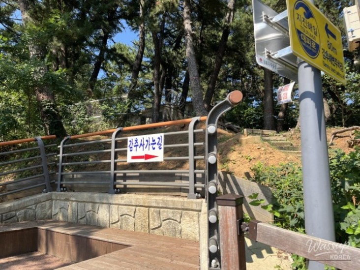 신비로운 모습