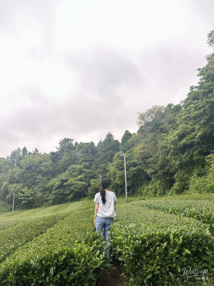Beautiful Scenery