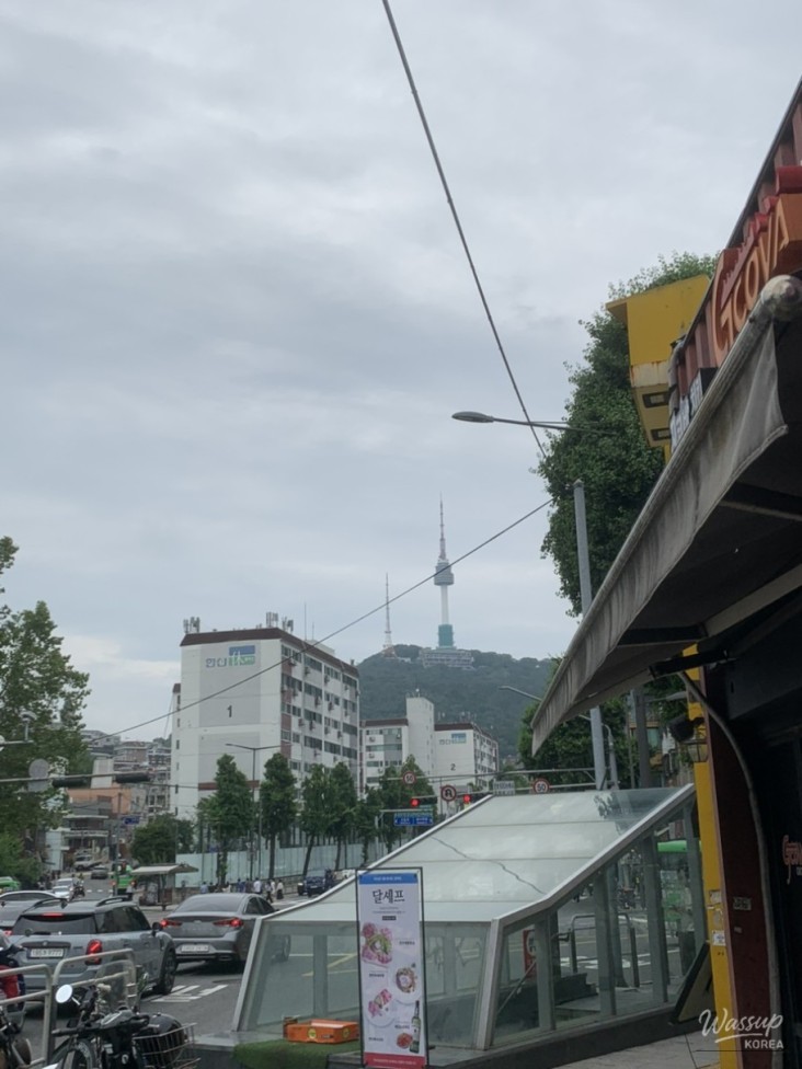 신비로운 모습