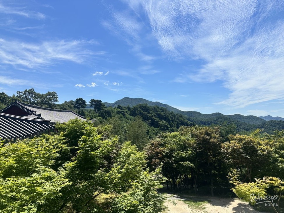 Peaceful Scenery