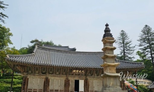 평화로운 풍경