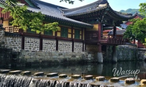 멋진 사진
