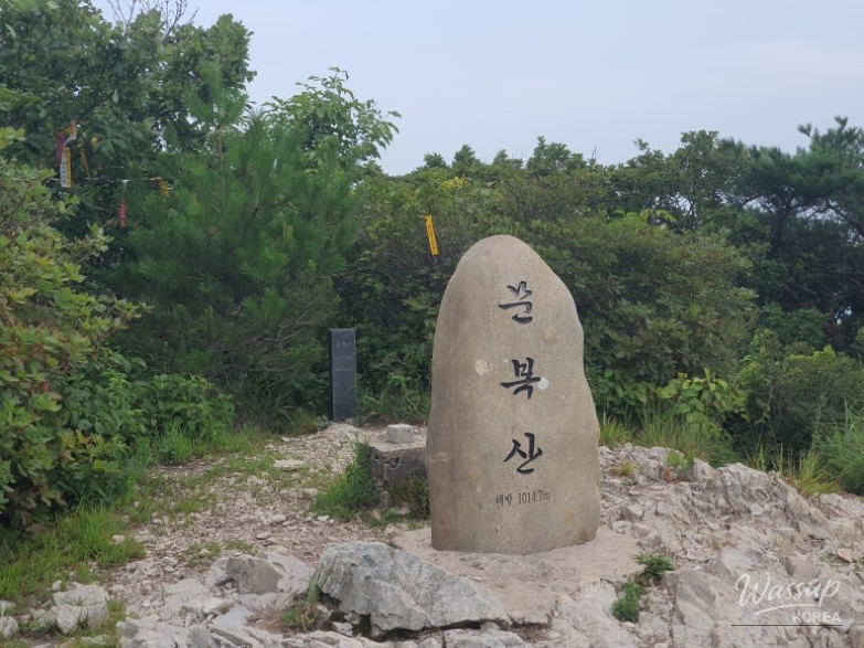 멋진 사진
