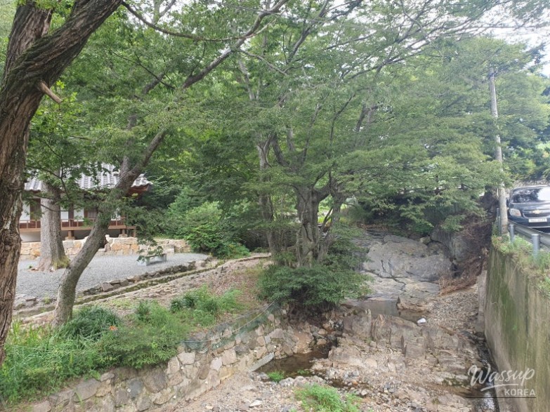 환상적인 장면