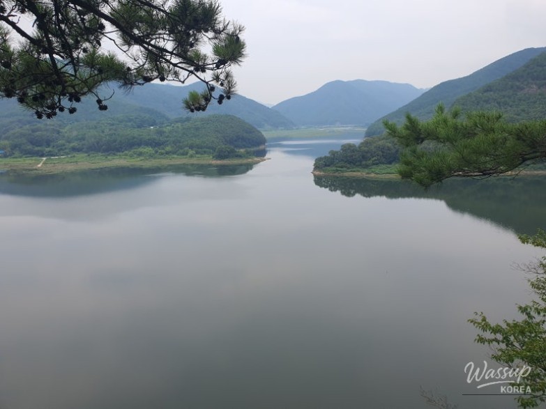 밝은 미래