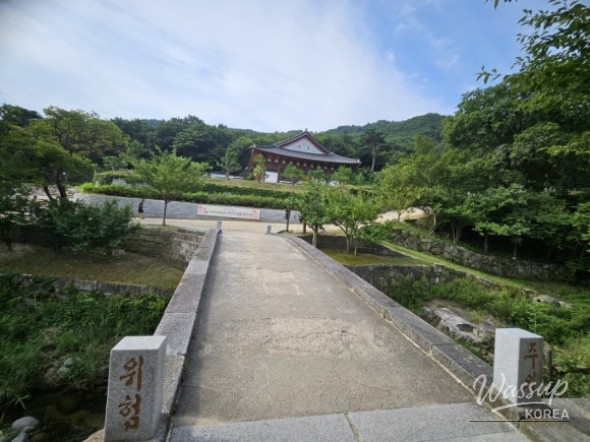 Peaceful Scenery