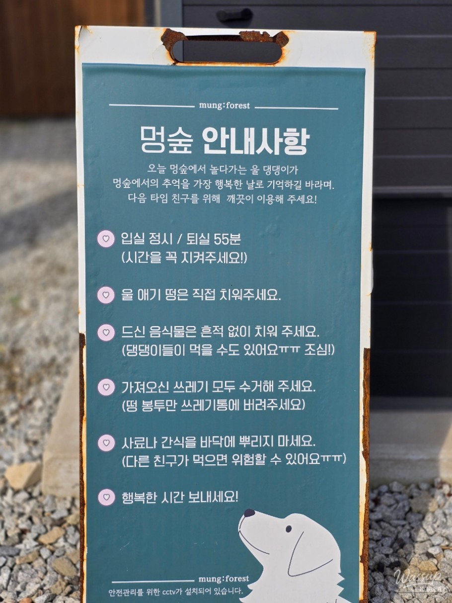 소중한 기억