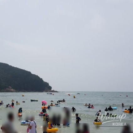 소중한 기억