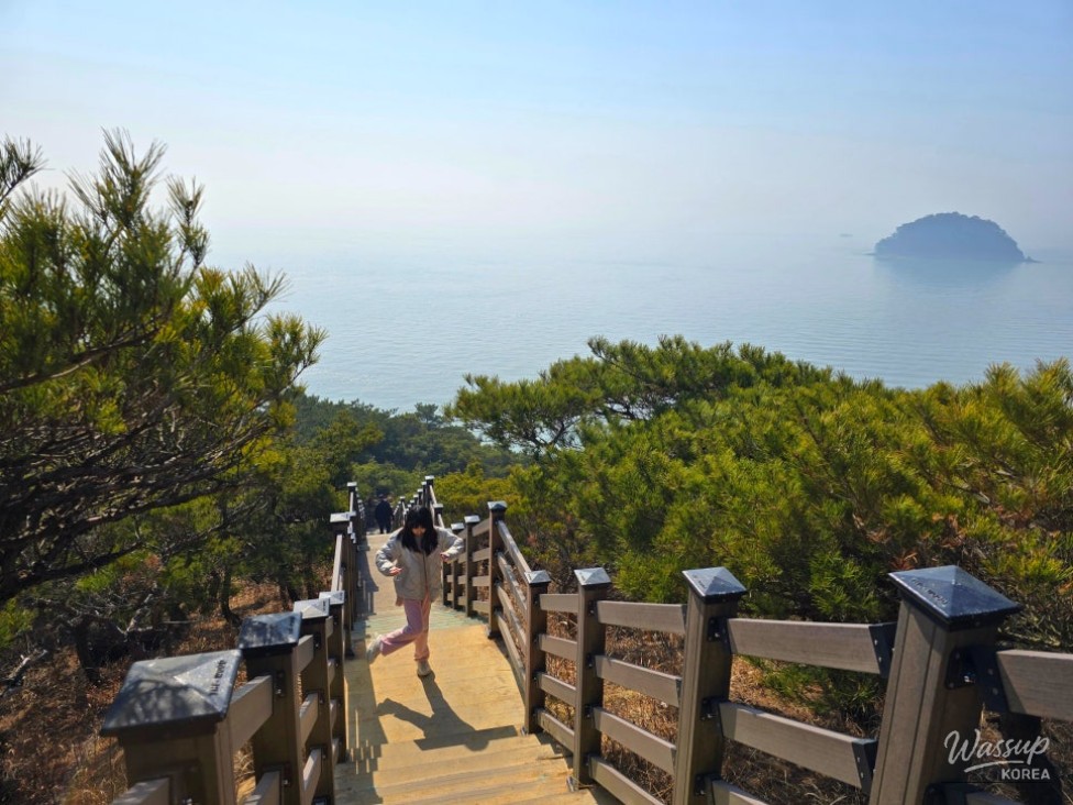 매력적인 사진