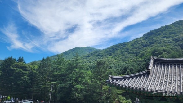Amazing View